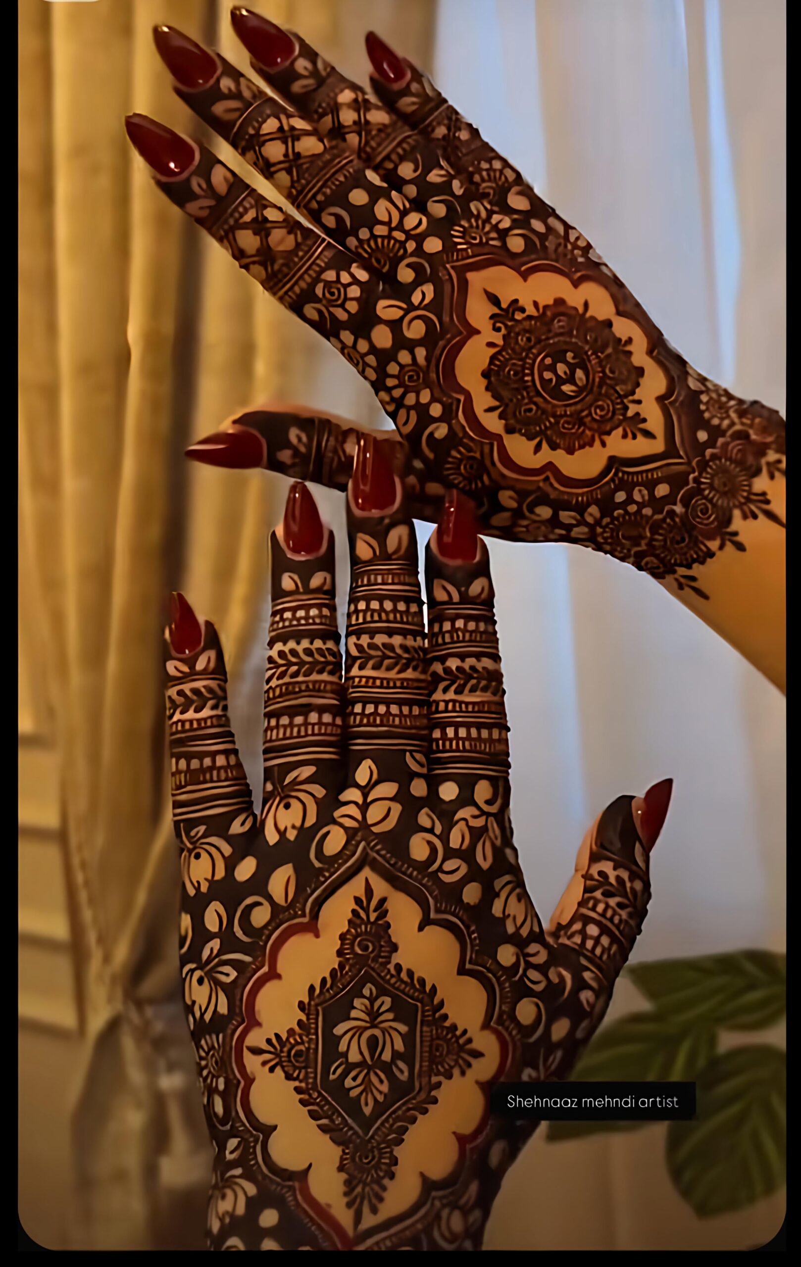 pakistani mehndi design back hand